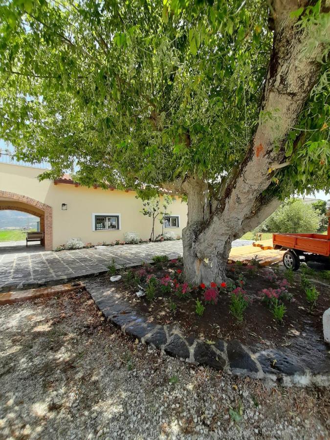 B&B Tenuta San Michele Capaccio Zewnętrze zdjęcie