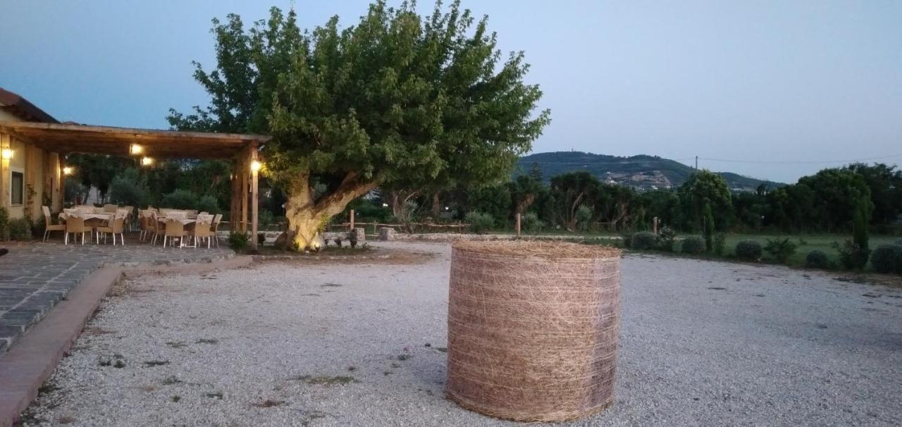 B&B Tenuta San Michele Capaccio Zewnętrze zdjęcie