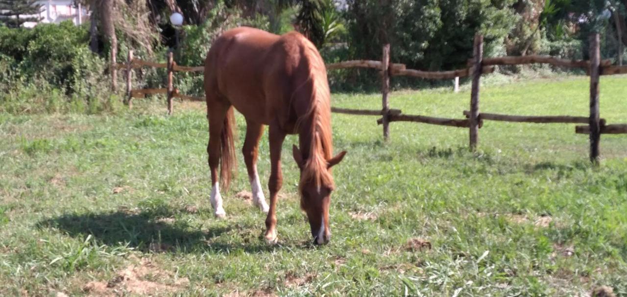 B&B Tenuta San Michele Capaccio Zewnętrze zdjęcie