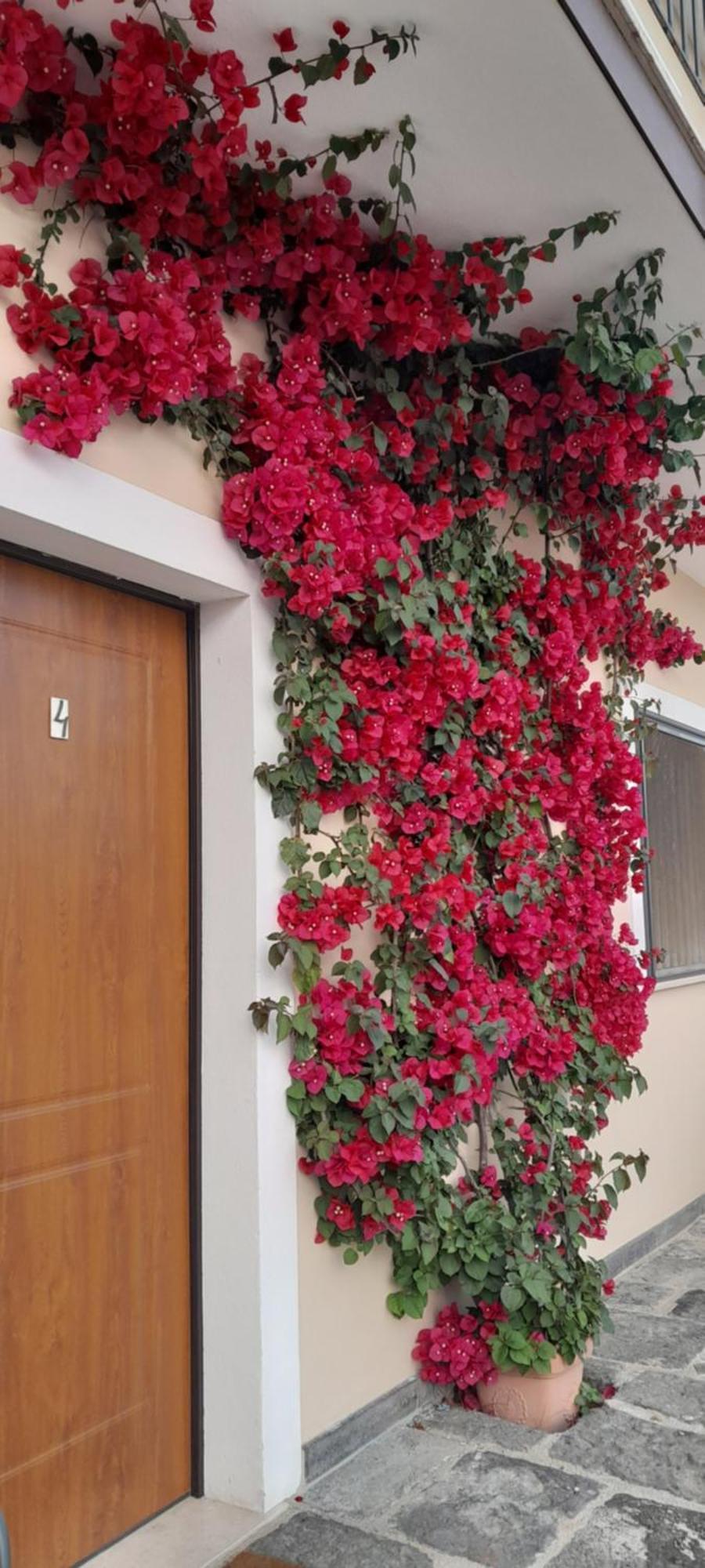 B&B Tenuta San Michele Capaccio Zewnętrze zdjęcie